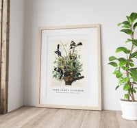 John James Audubon - Mocking Bird from Birds of America (1827)