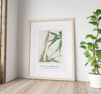 Megata Morikaga - Japanese Bamboo during 1870–1880