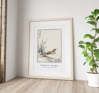 Numata Kashu - Chinese Tree-Pipit and Wheat illustration from Pictorial Monograph of Birds (1885)