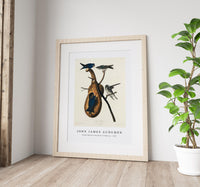 John James Audubon - Purple Martin from Birds of America (1827)