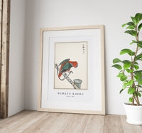 Numata Kashu - Macaw illustration from Pictorial Monograph of Birds (1885)