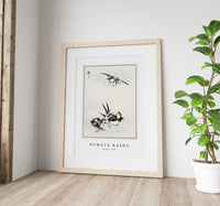 Numata Kashu - Swallow illustration from Pictorial Monograph of Birds (1885)