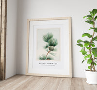 Megata Morikaga - Gayo matsu pine during 1870–1880