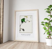 Numata Kashu - Fairy Pitta and Japanese Allspice illustration from Pictorial Monograph of Birds (1885)