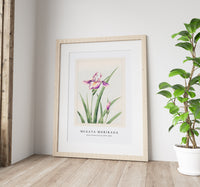 Megata Morikaga - Hana–strobel during 1870–1880