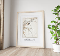 Numata Kashu - Japanese Grey Bunting and Rise Plant illustration from Pictorial Monograph of Birds (1885)