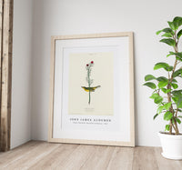 John James Audubon - Selby's Flycatcher from Birds of America (1827)