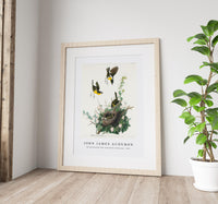 John James Audubon - Yellow-breasted Chat from Birds of America (1827)