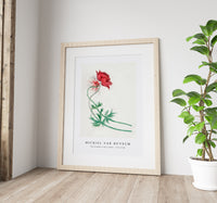 Michiel Van Huysum - Two branches with a flower (1714–1760)