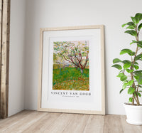 Vincent Van Gogh - The Flowering Orchard 1888