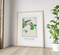 Numata Kashu - Barbary Dove and Oak Tree illustration from Pictorial Monograph of Birds (1885)