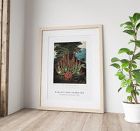 Robert John Thornton - The Maggot–Bearing Stapelia from The Temple of Flora (1807)