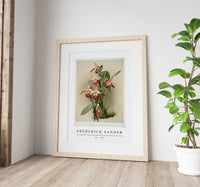 Frederick Sander - Cypripedium lemoinierianum from Reichenbachia Orchids-1847-1920