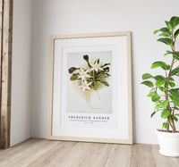 Frederick Sander - Aeranthus sesquipedalis from Reichenbachia Orchids-1847-1920