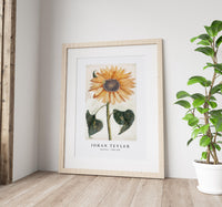 Johan Teyler - Sunflower (1688-1698)