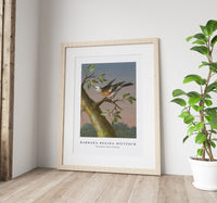 Barbara Regina Dietzsch - Sneeuwgors (Snow Bunting)