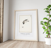 Numata Kashu - Sparrow illustration from Pictorial Monograph of Birds (1885)