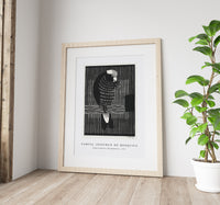 Samuel Jessurun De Mesquita - Galah Cockatoos (Rosékaketoe) (1917)