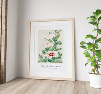 Megata Morikaga - Hibiscus plant during 1870–1880