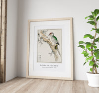 Numata Kashu - Japanese Green Woodpecker illustration from Pictorial Monograph of Birds (1885)