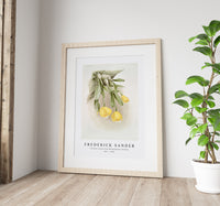 Frederick Sander - Cattleya citrina from Reichenbachia Orchids-1847-1920