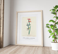 John James Audubon - Blue Yellow back Warbler from Birds of America (1827)