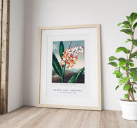 Robert John Thornton - The Nodding Renealmia from The Temple of Flora (1807)