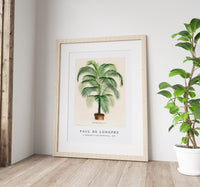 Paul de Longpre - A lithograph of Cocos Weddelliana 1875