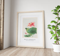 Megata Morikaga - Hasu (lotus) during 1870–1880