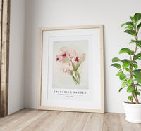 Frederick Sander - Cattleya lawrenceana from Reichenbachia Orchids-1847-1920