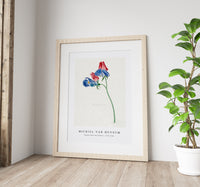 Michiel Van Huysum - Branch with two flowers1714-1760