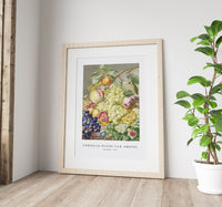 Cornelis ploos van amstel - Fruitstuk-1777