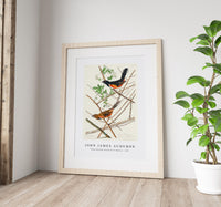 John James Audubon - Towee Bunting from Birds of America (1827)