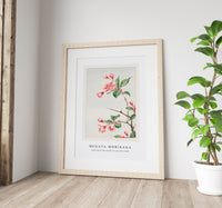 Megata Morikaga - Kaido pyrus spectabalis during 1870–1880