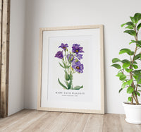 Mary Vaux Walcott - Eustoma russelianum (1930)