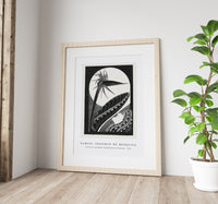 Samuel Jessurun De Mesquita - Strelitzia overblown (Uitgebloeide strelitzia) (1934)