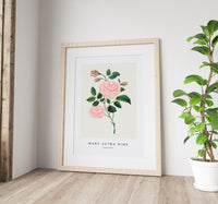 Mary Altha Nims - Damask Rose