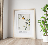 Numata Kashu - Japanese Meadow Bunting and Golden Ball illustration from Pictorial Monograph of Birds (1885)