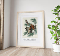 John James Audubon - Little Screech Owl from Birds of America (1827)