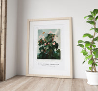 Robert John Thornton - The Oblique–Leaved Begonia from The Temple of Flora (1807)