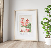 Megata Morikaga - Sarusubi blossoms during 1870–1880