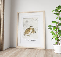 Numata Kashu - Japanese Quail and Gentian illustration from Pictorial Monograph of Birds (1885)