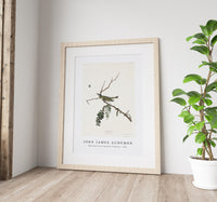 John James Audubon - Red-eyed Vireo from Birds of America (1827)