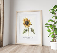 Johan Teyler - A sunflower