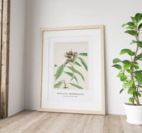 Megata Morikaga - Kashi during 1870–1880