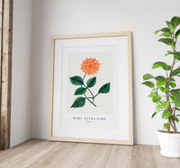 Mary Altha Nims - Dahlia