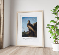 John Jadmes Audubon - Washington Sea Eagle (ca. 1836–1839)
