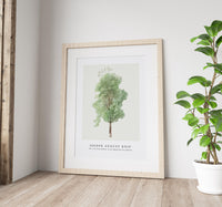 Joseph August Knip - Tall tree from Bomen in de omgeving van Subiaco (trees in the Subiaco area)