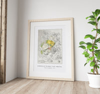 Cornelis ploos van amstel - Flower arrangement-1778