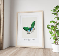 Mary Altha Nims - Butterfly